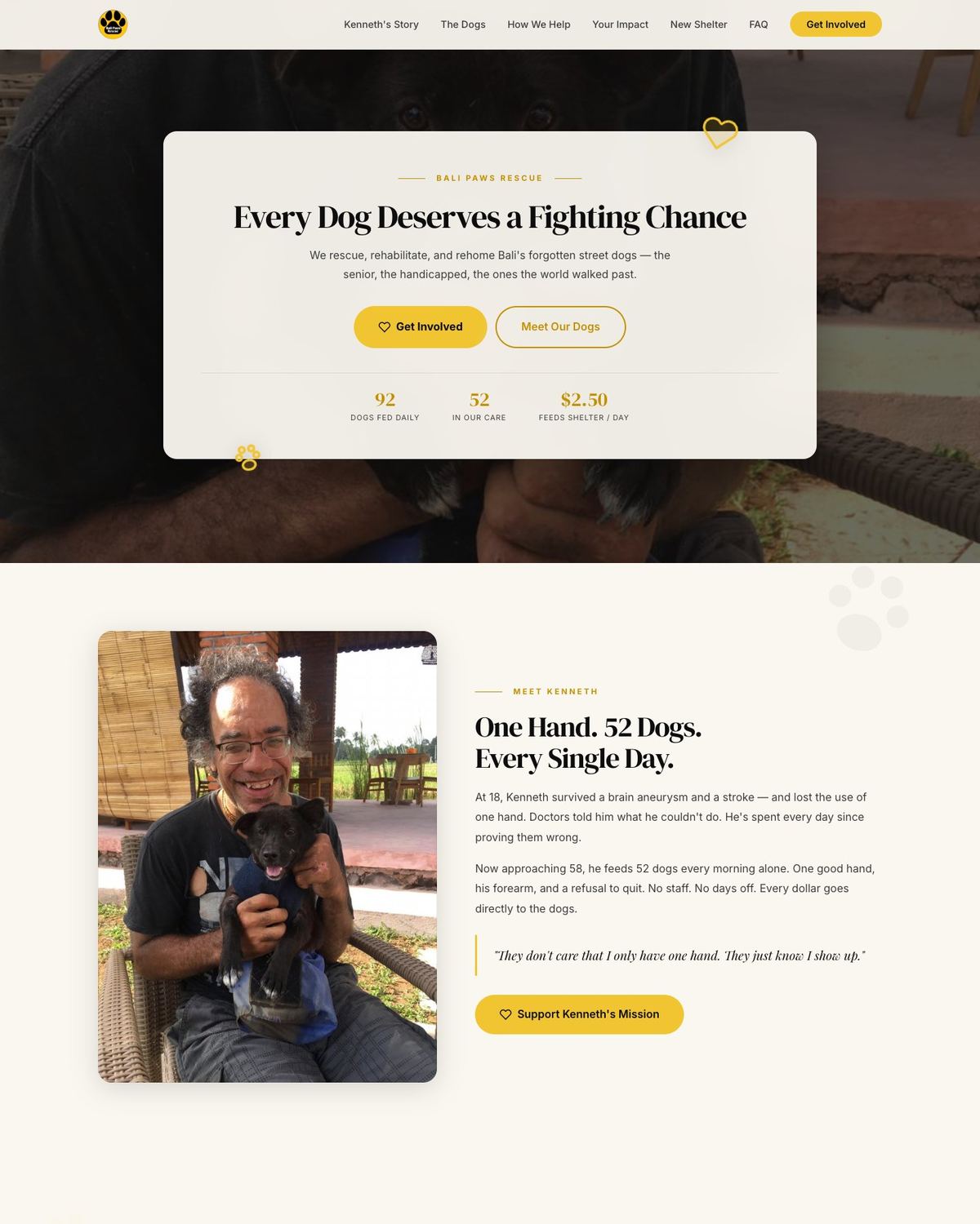 Bali Paws Rescue